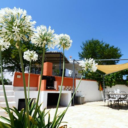 Villetta Panoramica Ostuni Exteriér fotografie